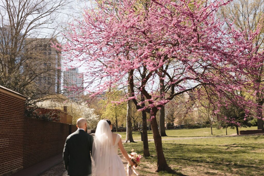 Bride and groom walk through a park under pink flowering trees in Philadelphia's Old City 